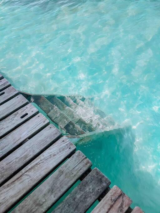 Vacation Home Blue Lotus Caye Caulker Zewnętrze zdjęcie