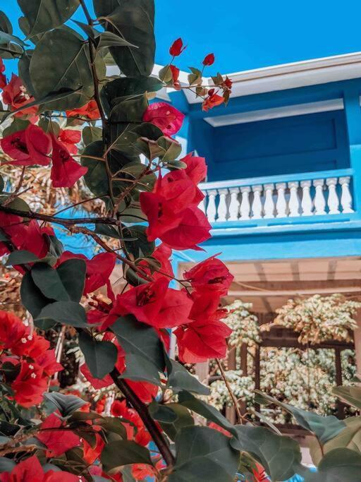 Vacation Home Blue Lotus Caye Caulker Zewnętrze zdjęcie