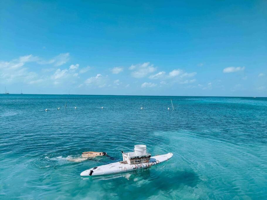 Vacation Home Blue Lotus Caye Caulker Zewnętrze zdjęcie